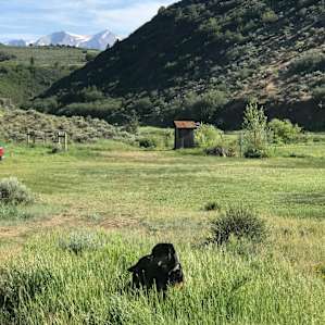 Tent Camp on Coulter Creek