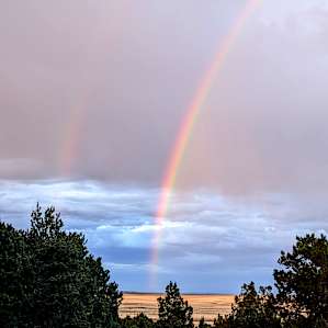 After a good soaking, a good omen. :)