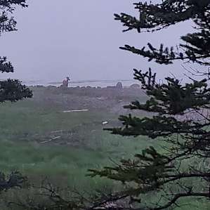 Driftwoods Seaside Tents