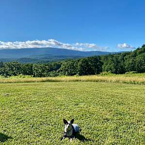 Green mtn primitive.AWD spring fall