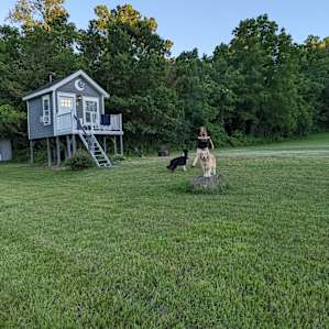 Playing disc with the dogs in the SUPER large yard.