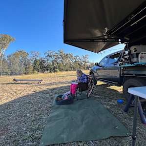 Kurrajong