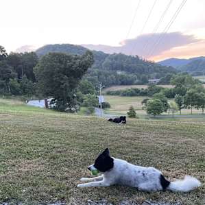 Amazing View