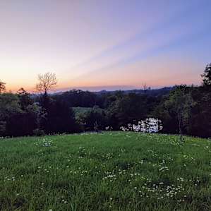 A view from the property (not my camp site)