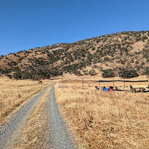 Take a left at the entry and explore the beautiful pastures