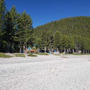 View from the beach of our camper van tucked under the trees on a level site.