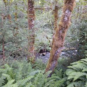 Powder Creek Campground