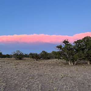 20 minutes to the Petrified Forest