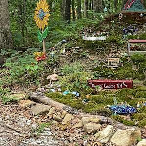 Forest Campsites
