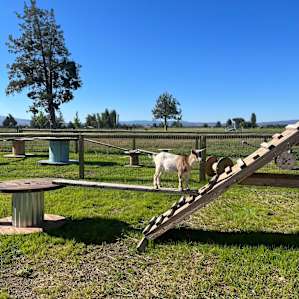 Cascadia Farm Sanctuary