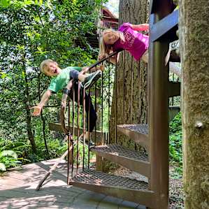 Eagle's Nest Treehouse Farmstay