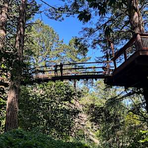Eagle's Nest Treehouse Farmstay