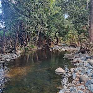 Private Rainforest Creek Camp