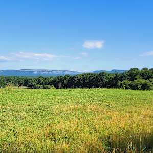 Mohonk Mountain View Farm