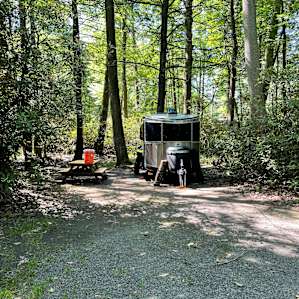 Bald Eagle Campsite
