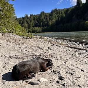Lulu like the warm sand on her belly