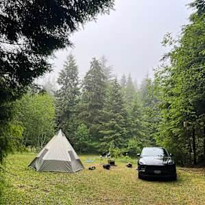 RIALTO ~ coastal+forest+field+SAUNA