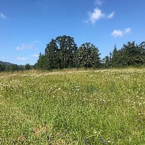 A Pleasant Place