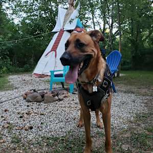 Taysha Tipi