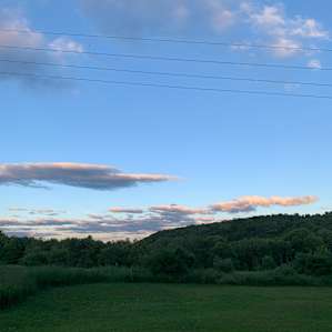 Stargazing Field at Olga Farm