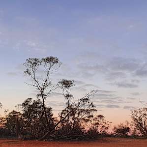 Stockyard Plains