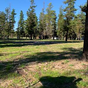 Little Eeden Farm Pine Camp