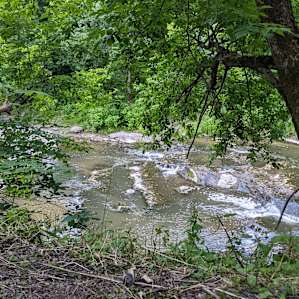 The view of the river from our campsite