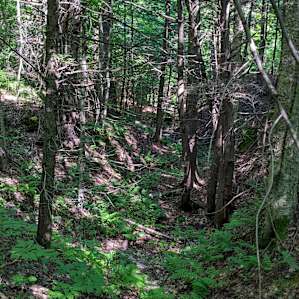 The mudslide - view from the trail