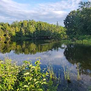 156 Historic Acres on the Tay River