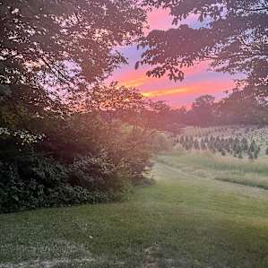 Eaitiful sunset at Heeitage Farms