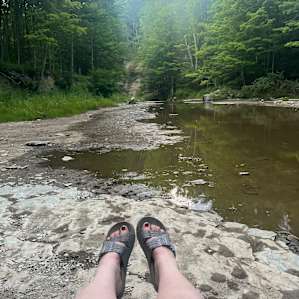 Streamside Eriegrove