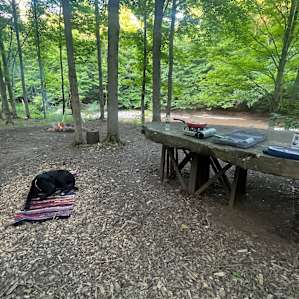 Streamside Eriegrove