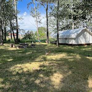 Homestead Glamping near Loveland