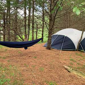 Pine the Sky Campsites