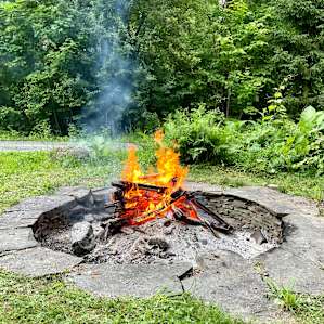Forest Campground