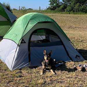 Lots of space for tents!
