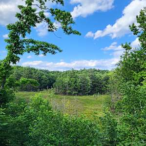 Lots of trails to walk, and the main drive itself is 1.5 miles