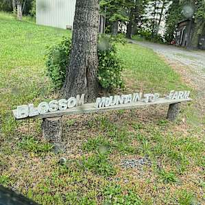Mountaintop Paradise Camp
