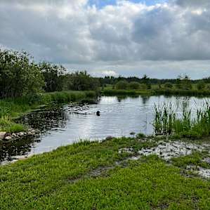 Elk Island Getaway