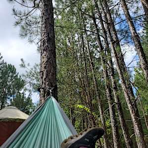 Yurt Island