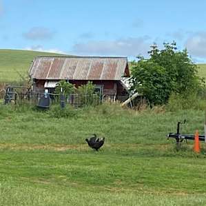Palouse Stargazing CarCamp