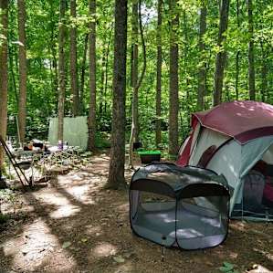 Plenty of room to set up a tent and gear! (We put up a solar shower and ran some tarps around it- our tarps are blocking the handy wash station the hosts set up, complete with soap and water!