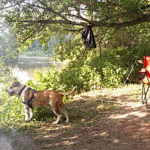 River and campsite
