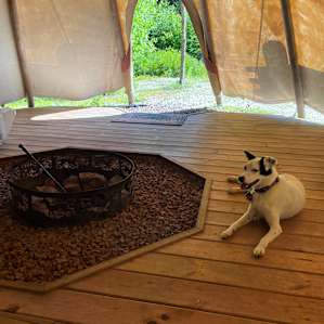 Forest Zz Library Tipi & Pizza Oven