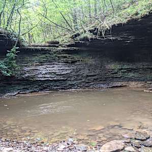 Hillbilly Hippie Hideaway