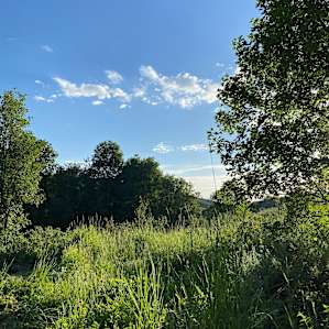Moonlight Mine Acres