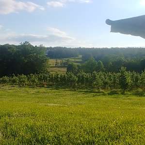 Peck Farm Orchard Pond