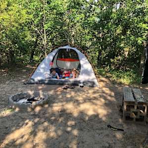 Honeysuckle