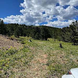 Cool Meadow