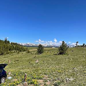 Cool Meadow